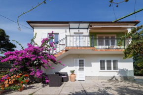 Apartmany Kosić